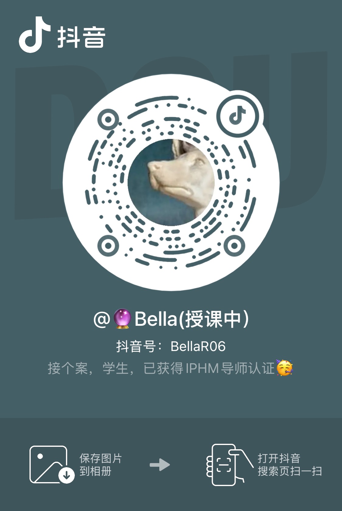 Bella 抖音账号名片